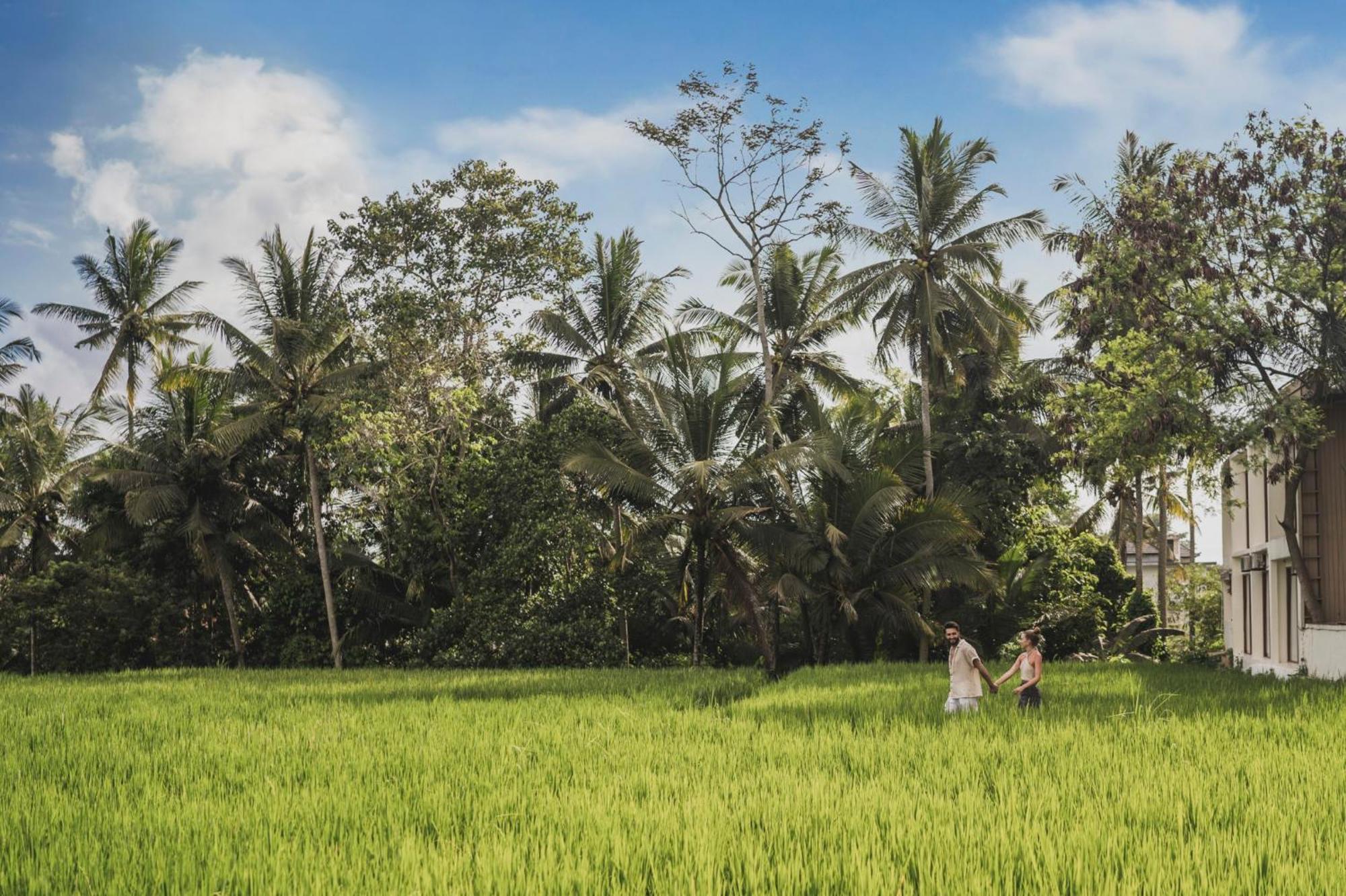 Suara Alam Hotel Ubud By Ini Vie Hospitality Buitenkant foto